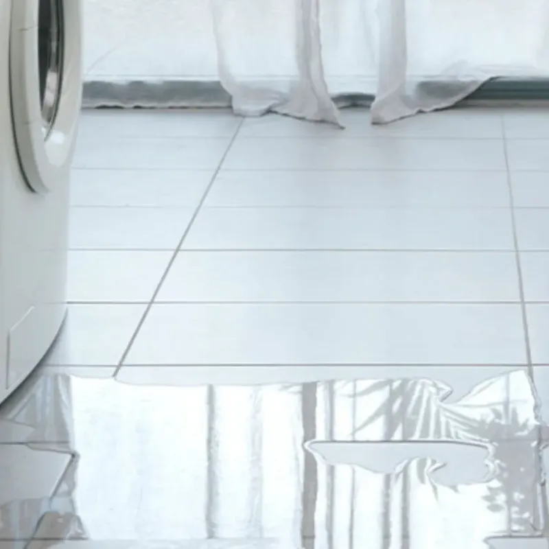 Appliance Leak Cleanup in Holly Lake Ranch, TX