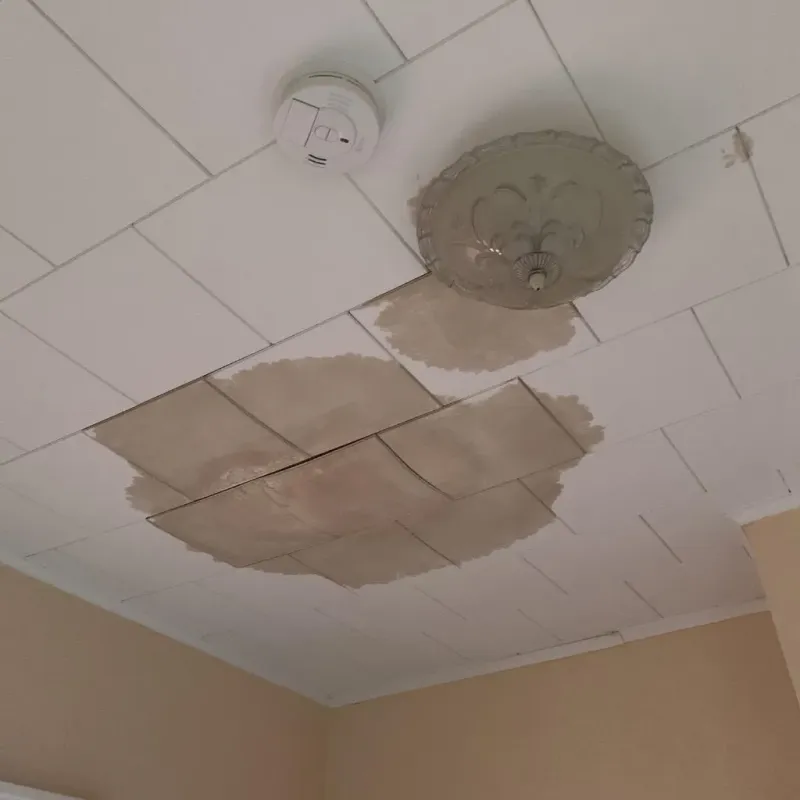 Ceiling Water Damage Repair in Holly Lake Ranch, TX