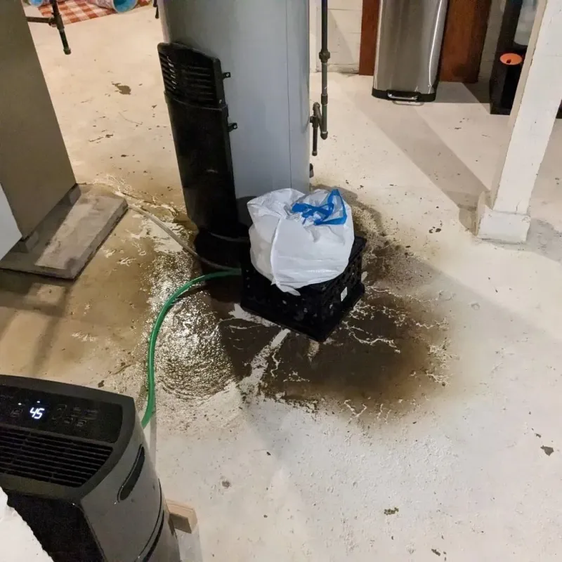 Sewage Backup Cleanup Service in Holly Lake Ranch, TX